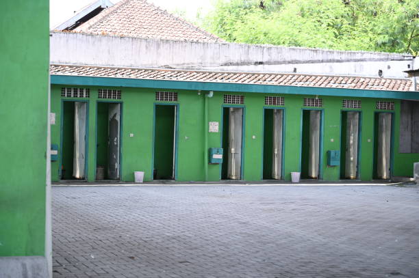 Best Local porta potty services  in Tiptonville, TN